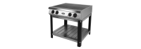Плита электрическая Grill Master Ф4ЖТЛПЭ (24005)